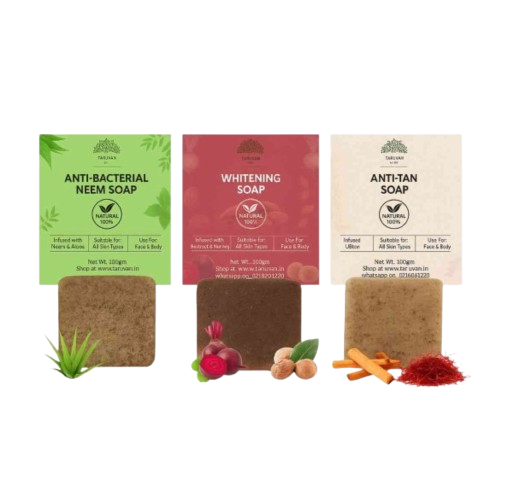 2__1_-removebg-preview