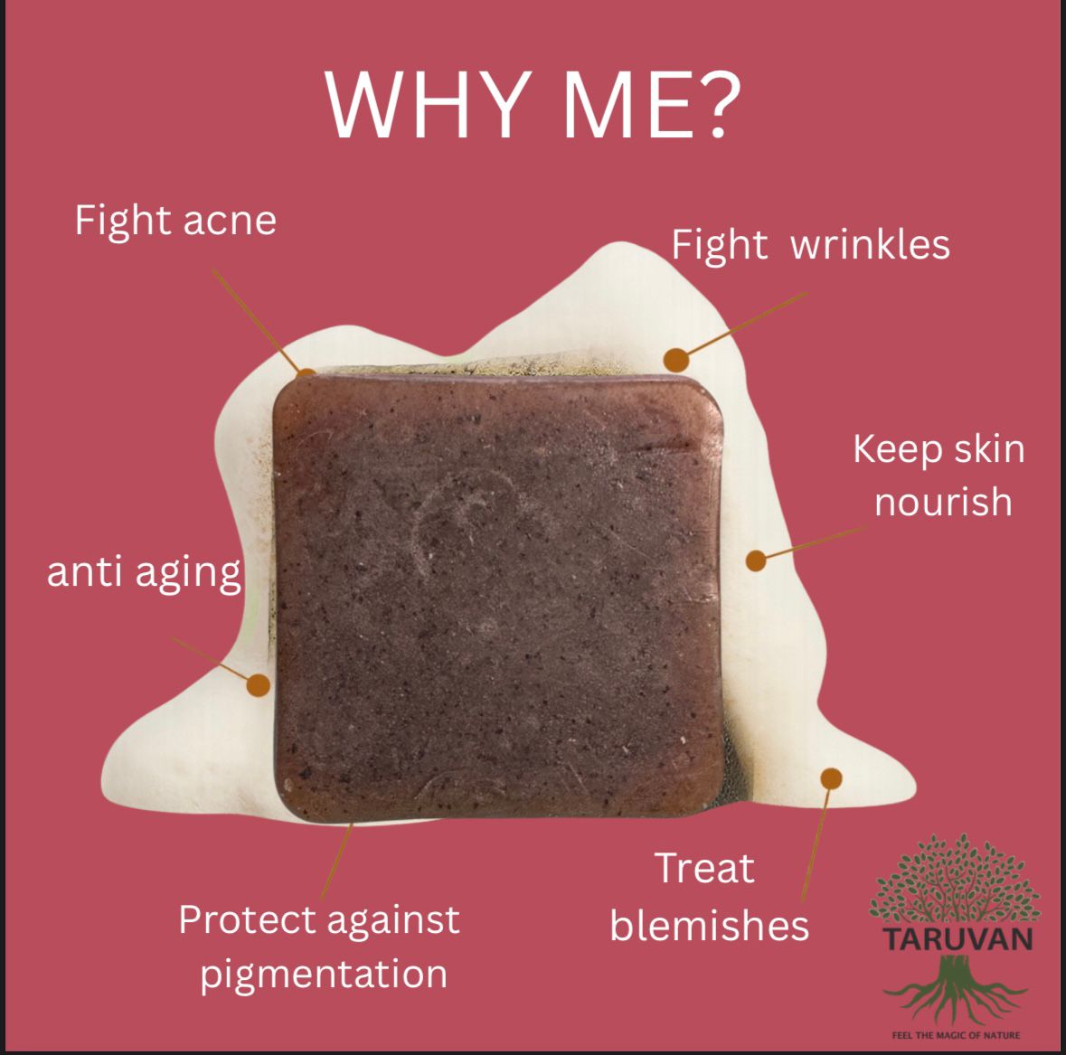 soap_8796c609-a1a4-4828-9b3f-e3c805d03a41